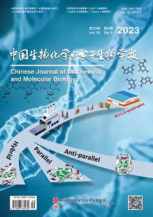 中国生物化学与分子生物学报